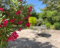 Charmante villa tout confort avec piscine​
