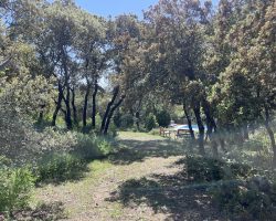 3404-cosyvacances.com-IMG_7390