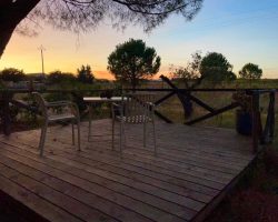 3411-2025-cosyvacances-suddefrance1