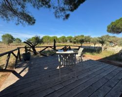 3411-2025-cosyvacances-suddefrance2