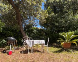 3415-2026-cosyvacances-suddefrance17