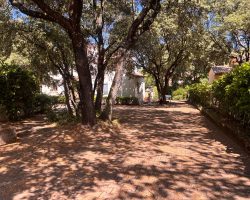 3415-2026-cosyvacances-suddefrance5