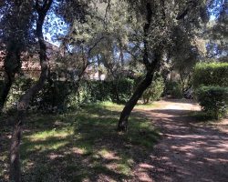 3415-cosyvacances.com-Image (2)