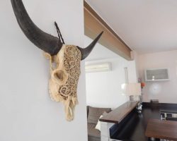 Ravissante villa avec piscine à 10mn de la plage